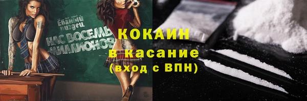 крисы Дмитров