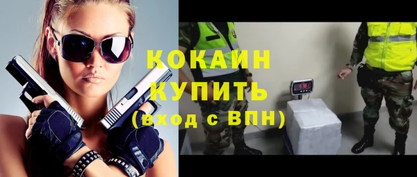 крисы Дмитров