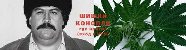 крисы Дмитров