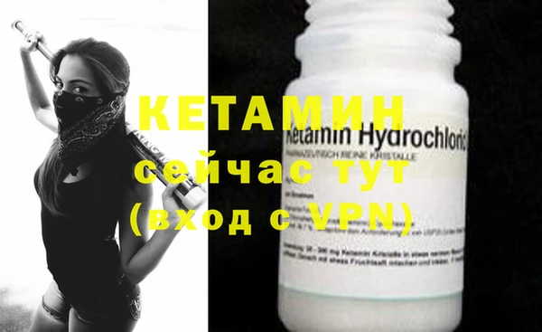 крисы Дмитров