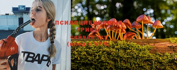 кокаин колумбия Дмитриев
