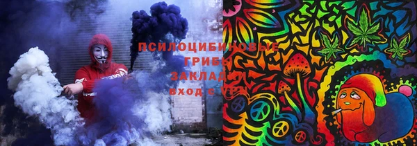 метадон Туринск