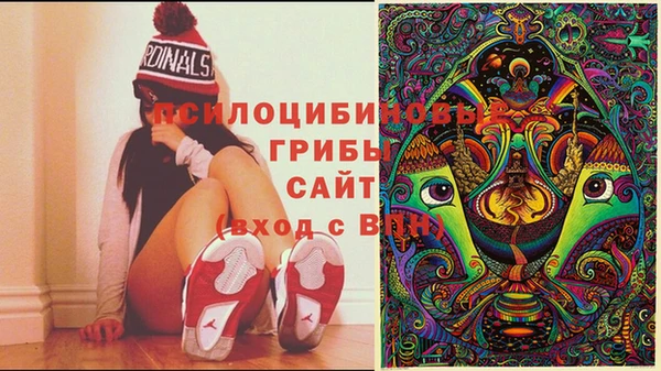 кокаин колумбия Дмитриев