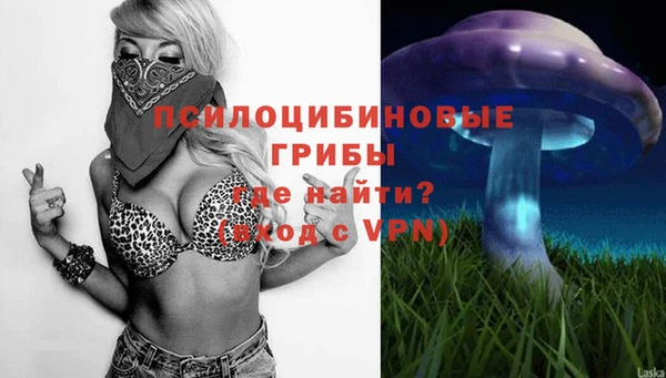метадон Туринск